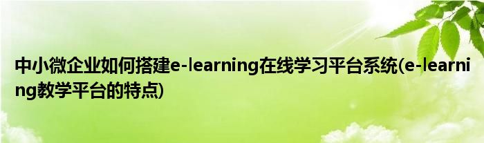 中小微企業(yè)如何搭建e-learning在線學(xué)習(xí)平臺系統(tǒng)(e-learning教學(xué)平臺的特點(diǎn))
