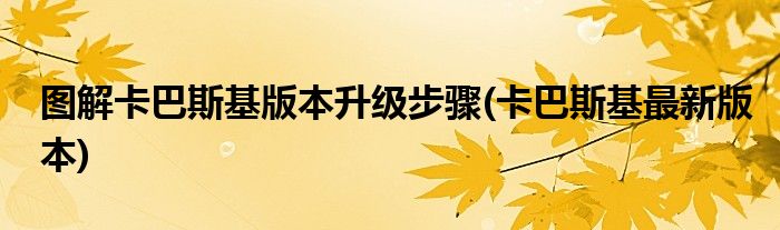 圖解卡巴斯基版本升級(jí)步驟(卡巴斯基最新版本)