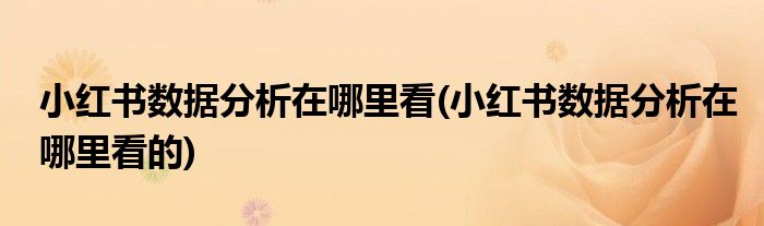 小紅書數(shù)據(jù)分析在哪里看(小紅書數(shù)據(jù)分析在哪里看的)