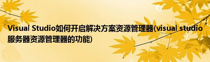 Visual Studio如何開(kāi)啟解決方案資源管理器(visual studio服務(wù)器資源管理器的功能)