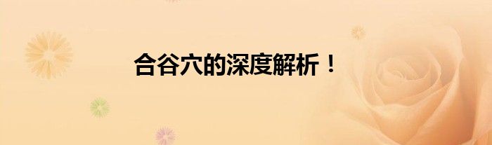 合谷穴的深度解析！