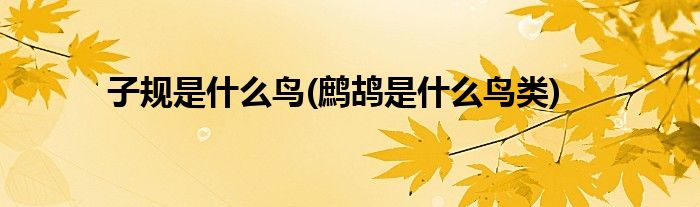 子規(guī)是什么鳥(鷓鴣是什么鳥類)