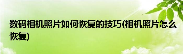 數(shù)碼相機(jī)照片如何恢復(fù)的技巧(相機(jī)照片怎么恢復(fù))