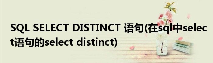 SQL SELECT DISTINCT 語(yǔ)句(在sql中select語(yǔ)句的select distinct)