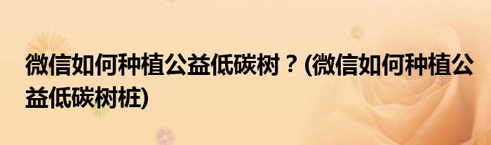 微信如何種植公益低碳樹？(微信如何種植公益低碳樹樁)