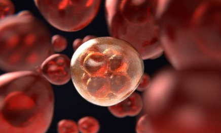 selpercatinib 臨床試驗(yàn)顯示對非小細(xì)胞肺癌患者有強(qiáng)烈反應(yīng)