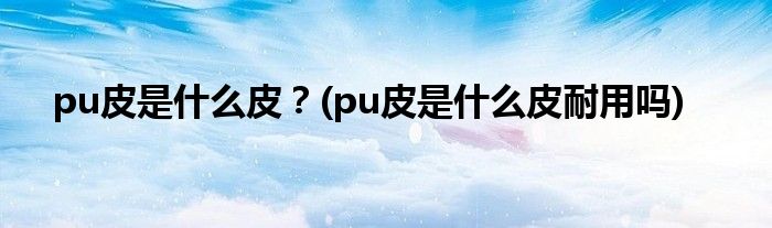 pu皮是什么皮？(pu皮是什么皮耐用嗎)