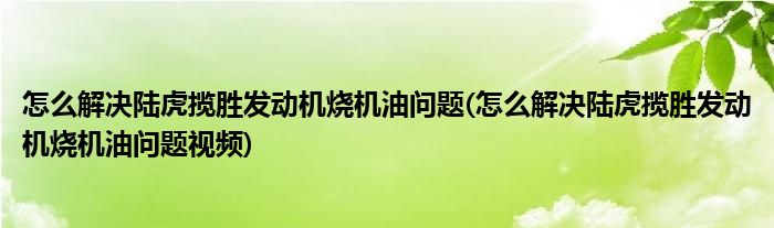 怎么解決陸虎攬勝發(fā)動(dòng)機(jī)燒機(jī)油問題(怎么解決陸虎攬勝發(fā)動(dòng)機(jī)燒機(jī)油問題視頻)