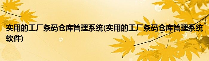 實用的工廠條碼倉庫管理系統(tǒng)(實用的工廠條碼倉庫管理系統(tǒng)軟件)