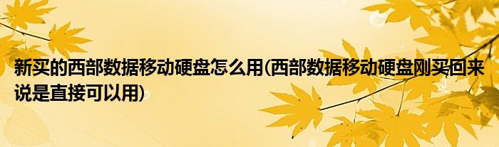 新買(mǎi)的西部數(shù)據(jù)移動(dòng)硬盤(pán)怎么用(西部數(shù)據(jù)移動(dòng)硬盤(pán)剛買(mǎi)回來(lái)說(shuō)是直接可以用)