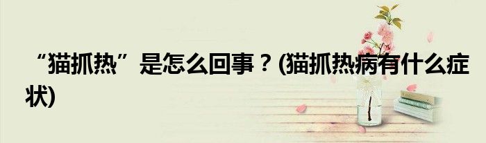 “貓抓熱”是怎么回事？(貓抓熱病有什么癥狀)