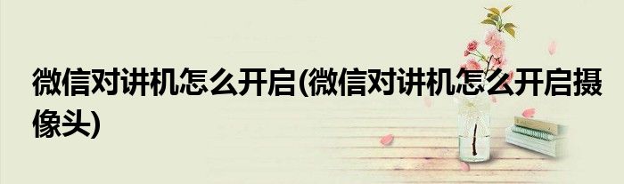微信對講機(jī)怎么開啟(微信對講機(jī)怎么開啟攝像頭)