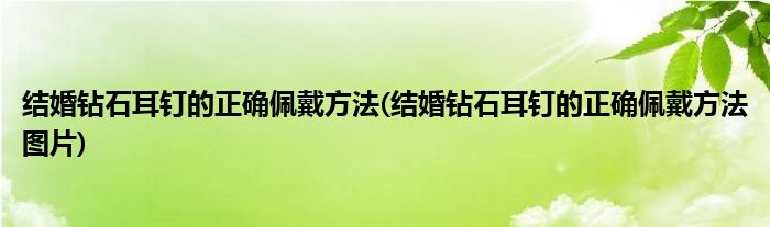 結(jié)婚鉆石耳釘?shù)恼_佩戴方法(結(jié)婚鉆石耳釘?shù)恼_佩戴方法圖片)
