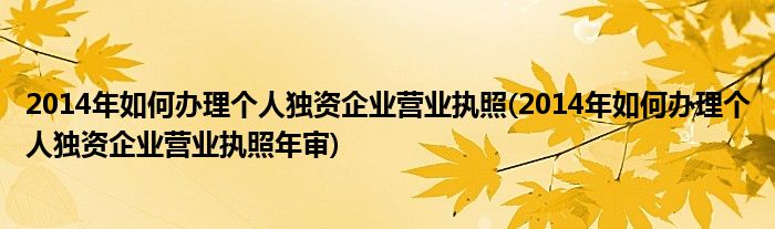 2014年如何辦理個(gè)人獨(dú)資企業(yè)營業(yè)執(zhí)照(2014年如何辦理個(gè)人獨(dú)資企業(yè)營業(yè)執(zhí)照年審)