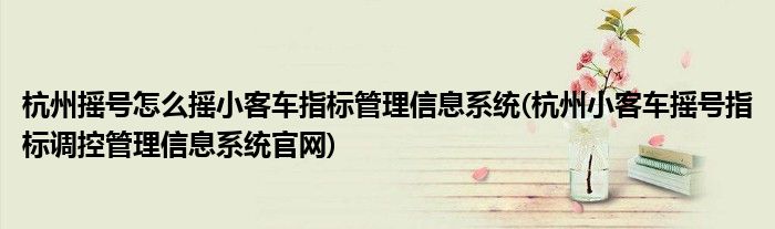 杭州搖號(hào)怎么搖小客車指標(biāo)管理信息系統(tǒng)(杭州小客車搖號(hào)指標(biāo)調(diào)控管理信息系統(tǒng)官網(wǎng))