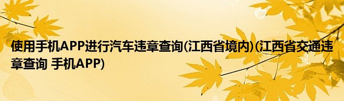 使用手機(jī)APP進(jìn)行汽車(chē)違章查詢(xún)(江西省境內(nèi))(江西省交通違章查詢(xún) 手機(jī)APP)