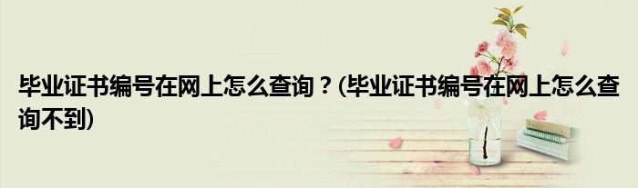 畢業(yè)證書編號(hào)在網(wǎng)上怎么查詢？(畢業(yè)證書編號(hào)在網(wǎng)上怎么查詢不到)