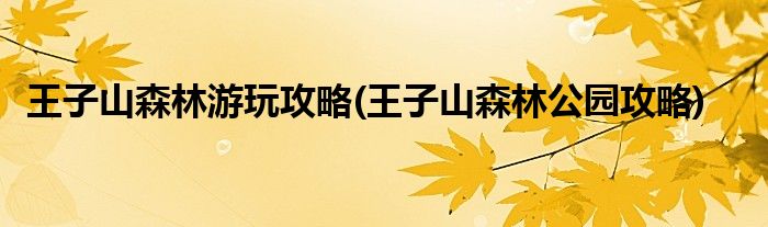 王子山森林游玩攻略(王子山森林公園攻略)