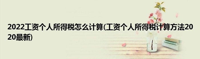 2022工資個(gè)人所得稅怎么計(jì)算(工資個(gè)人所得稅計(jì)算方法2020最新)