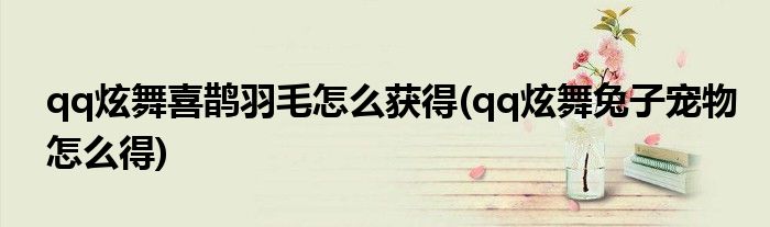 qq炫舞喜鵲羽毛怎么獲得(qq炫舞兔子寵物怎么得)