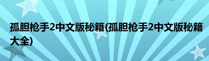 孤膽槍手2中文版秘籍(孤膽槍手2中文版秘籍大全)