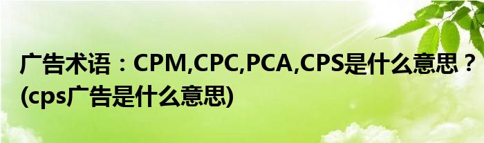 廣告術(shù)語：CPM,CPC,PCA,CPS是什么意思？(cps廣告是什么意思)