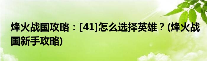 烽火戰(zhàn)國攻略：[41]怎么選擇英雄？(烽火戰(zhàn)國新手攻略)