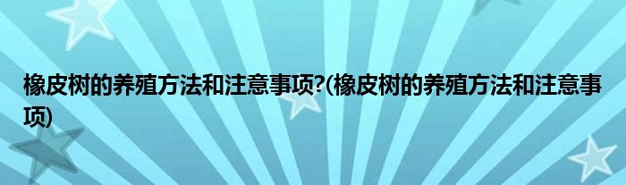 橡皮樹(shù)的養(yǎng)殖方法和注意事項(xiàng)?(橡皮樹(shù)的養(yǎng)殖方法和注意事項(xiàng))