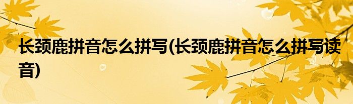 長(zhǎng)頸鹿拼音怎么拼寫(長(zhǎng)頸鹿拼音怎么拼寫讀音)