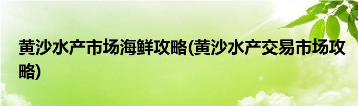 黃沙水產(chǎn)市場海鮮攻略(黃沙水產(chǎn)交易市場攻略)