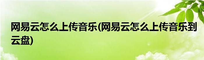 網(wǎng)易云怎么上傳音樂(lè)(網(wǎng)易云怎么上傳音樂(lè)到云盤(pán))