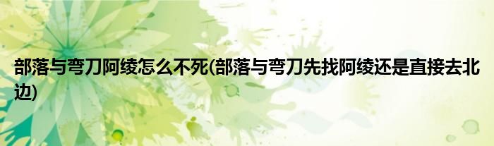 部落與彎刀阿綾怎么不死(部落與彎刀先找阿綾還是直接去北邊)