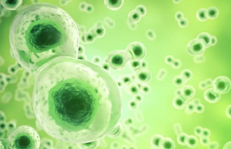 Scale Biosciences 推出新型差異化單細胞甲基化和單細胞 RNA 測序解決方案