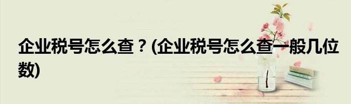 企業(yè)稅號(hào)怎么查？(企業(yè)稅號(hào)怎么查一般幾位數(shù))