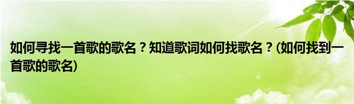 如何尋找一首歌的歌名？知道歌詞如何找歌名？(如何找到一首歌的歌名)