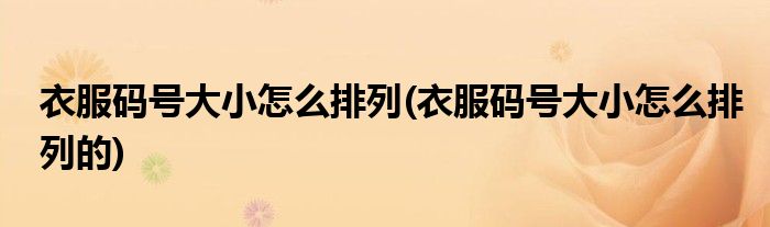 衣服碼號大小怎么排列(衣服碼號大小怎么排列的)