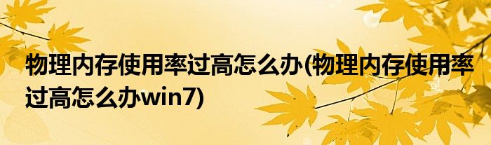 物理內存使用率過高怎么辦(物理內存使用率過高怎么辦win7)