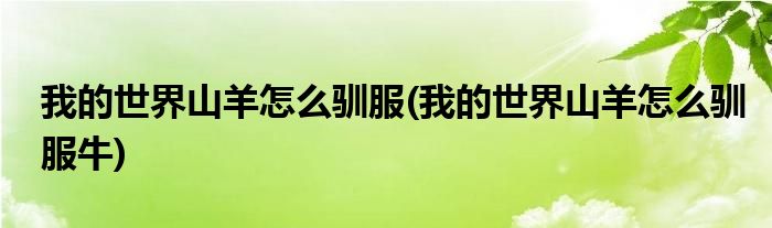 我的世界山羊怎么馴服(我的世界山羊怎么馴服牛)