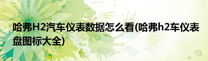 哈弗H2汽車儀表數(shù)據(jù)怎么看(哈弗h2車儀表盤圖標大全)