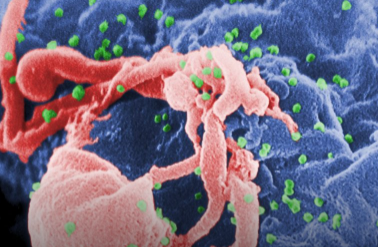 雙CRISPR基因編輯策略治愈動物HIV-1