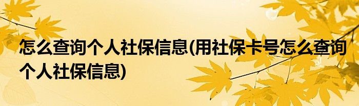 怎么查詢個人社保信息(用社保卡號怎么查詢個人社保信息)
