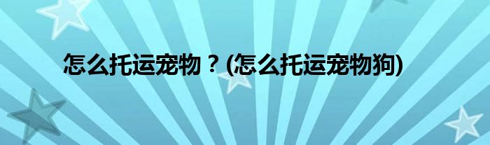 怎么托運寵物？(怎么托運寵物狗)