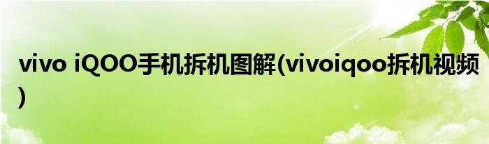 vivo iQOO手機拆機圖解(vivoiqoo拆機視頻)