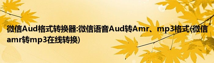 微信Aud格式轉(zhuǎn)換器:微信語音Aud轉(zhuǎn)Amr、mp3格式(微信amr轉(zhuǎn)mp3在線轉(zhuǎn)換)