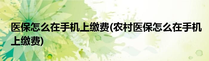 醫(yī)保怎么在手機(jī)上繳費(fèi)(農(nóng)村醫(yī)保怎么在手機(jī)上繳費(fèi))