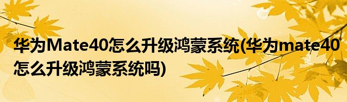 華為Mate40怎么升級(jí)鴻蒙系統(tǒng)(華為mate40怎么升級(jí)鴻蒙系統(tǒng)嗎)