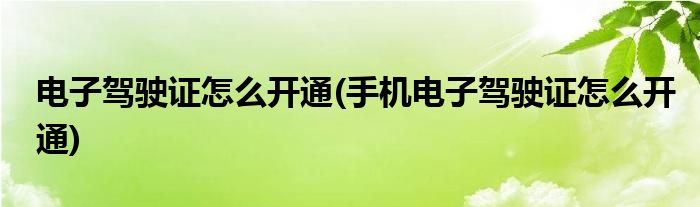 電子駕駛證怎么開(kāi)通(手機(jī)電子駕駛證怎么開(kāi)通)