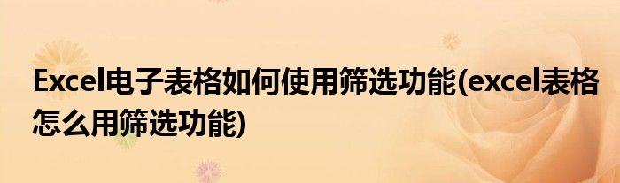 Excel電子表格如何使用篩選功能(excel表格怎么用篩選功能)