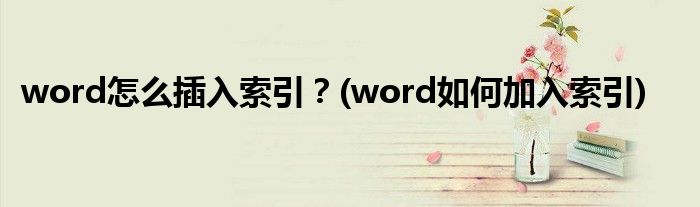 word怎么插入索引？(word如何加入索引)