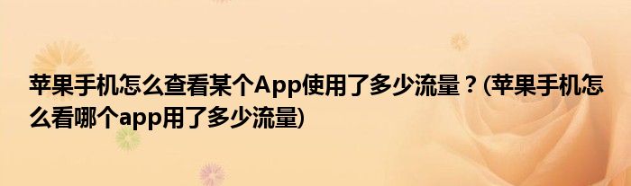 蘋果手機怎么查看某個App使用了多少流量？(蘋果手機怎么看哪個app用了多少流量)